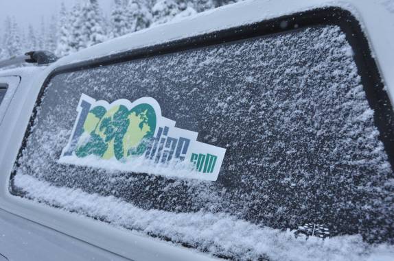 Fiona em meio à neve do North Cascades National Park, no estado de Washington, noroeste dos  Estados Unidos